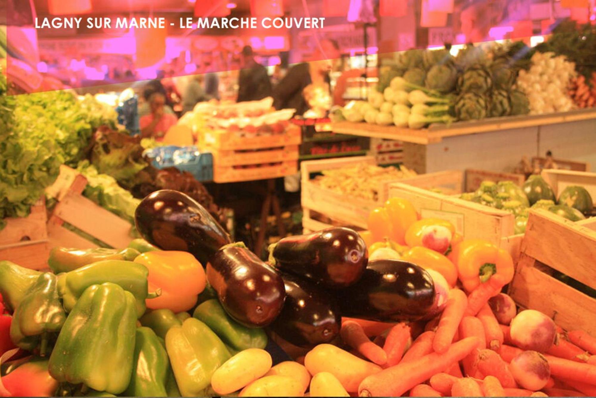 Le Traditionnel - Maison Avec Jardin & Parking - Ideal Disneyland & Paris Lagny-sur-Marne Luaran gambar
