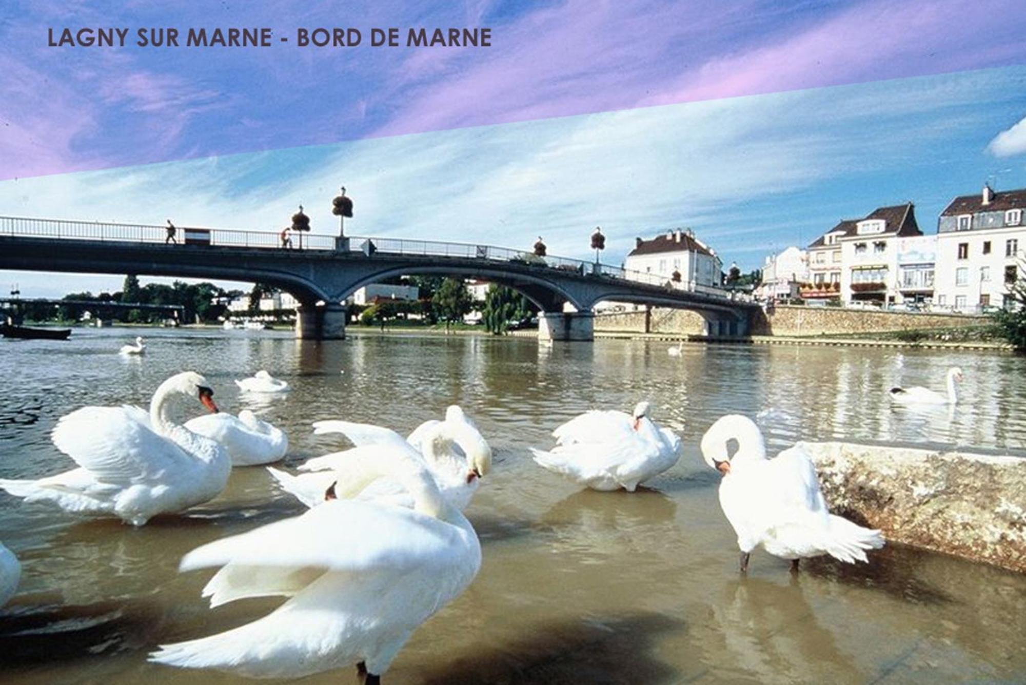 Le Traditionnel - Maison Avec Jardin & Parking - Ideal Disneyland & Paris Lagny-sur-Marne Luaran gambar